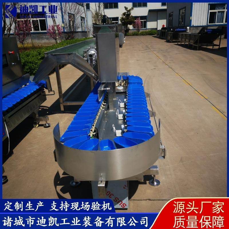 厂家供应海参牡蛎重量分拣机 火龙果重量分选机 盒料称重机设备,清洗/食品/商业设备,其他清洗机,淘宝优惠券,粉丝福利购,淘宝优惠卷