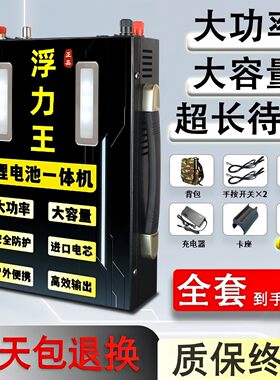 48V新能源锂电池一体机大功率全套逆变升压轻便多功能动力蓄电瓶