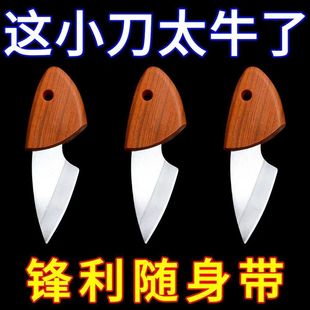 爆款口袋水果刀削皮应急切瓜切菜便携迷你小刀拆快递开箱切水果刀