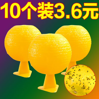 果蝇诱捕器小飞虫灭杀神器室内去除飞虫克星厨房蠓虫粘虫球诱苍蝇