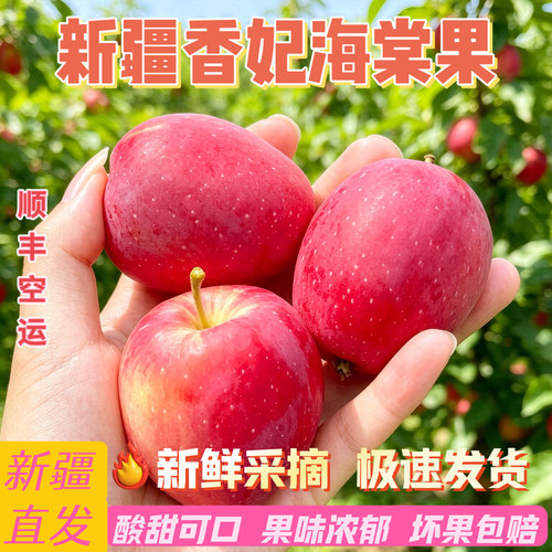 新疆伊犁香妃海棠果鸡心小苹果