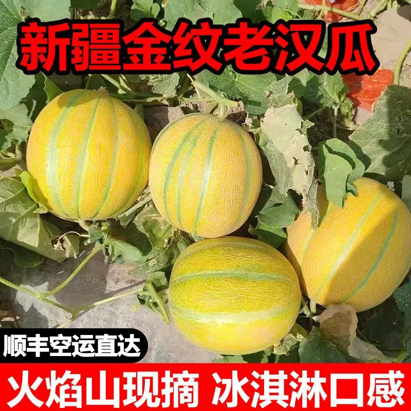 新疆吐鲁番金纹老汉瓜正宗网纹甜瓜蜜瓜应当季新鲜孕妇水果整箱