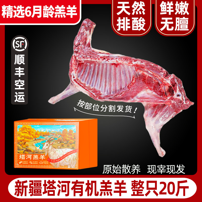 正宗新疆塔河羔羊散养现杀整只羊腿羊排火锅烧烤羊肉礼盒顺丰包邮