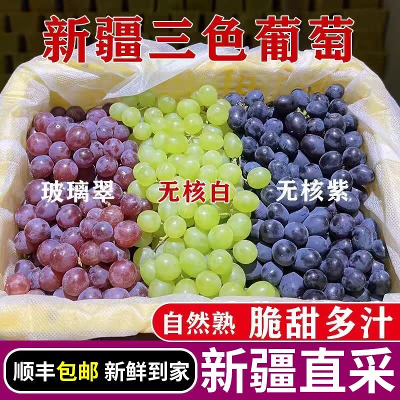新疆吐鲁番三色葡萄现摘顺丰包邮