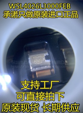 万泰隆 WSL4026L3000FEB WSL4026 全新原装进口正品