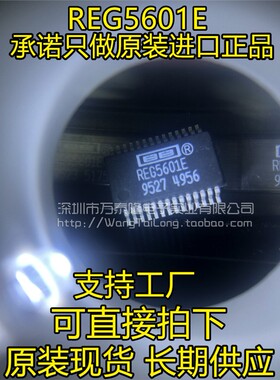 万泰隆 REG5601E REG5601 BB全新集成芯片SOP28 可直拍！