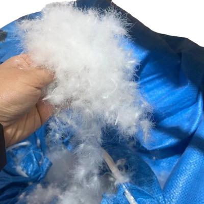 索雅95大朵98白鹅绒白鸭绒自充绒吊绒现充羽绒原料厂家直销