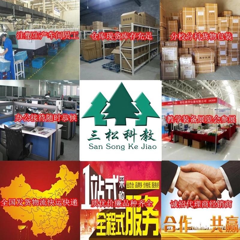 细胞亚微结构模型J33302生物实验器材中学显教学仪器