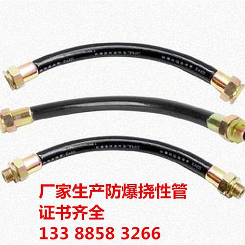 防爆管BNG-DN15*500防爆挠性连接管DN20 1.5寸防爆软管防爆接线管