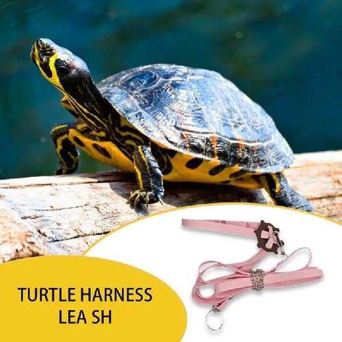 Turtle Harness Leashes Adjustable Harness Leashes PU