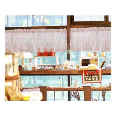 Half Net Curtain Lace Curtains Mini for Small Window and
