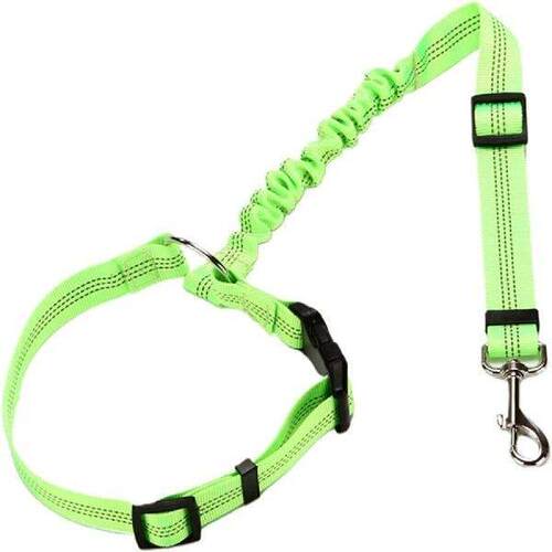 Elevate Your Pup