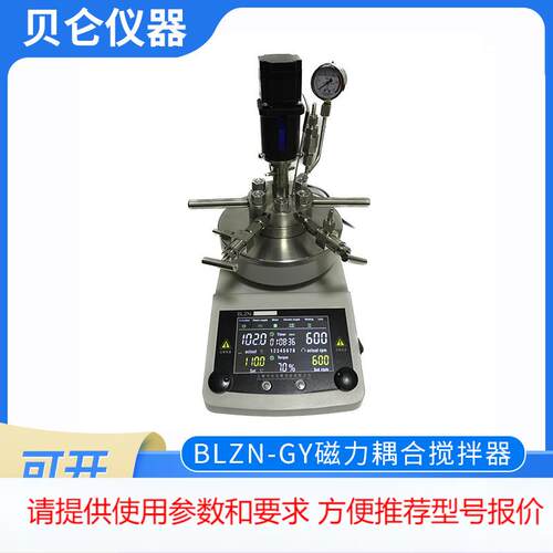 上海贝仑厂家高压反应釜，水热釜，反应釜 BLZN-GY数显