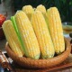 云南新鲜金银水果玉米现摘嫩玉米棒子苞谷米香甜软糯整箱 包邮