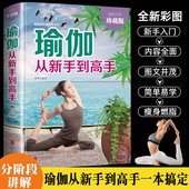 初级入门瑜伽塑身 正版 初学者零基础减肥瘦身教程大全书籍 瑜伽从新手到高手 普拉提每日瑜伽 精装