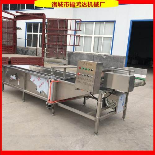 冰冻刀鱼段挂冰机清洗带鱼段设备隧道式不锈钢气泡清洗机