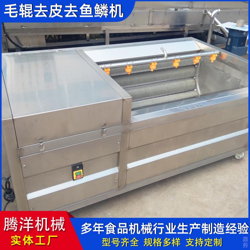 鲜核桃毛辊清洗机喷淋式洗果流水线槟榔去皮机新型毛辊清洗机