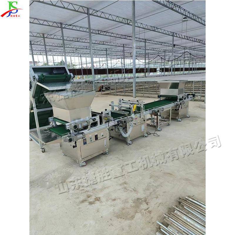 辣椒育苗双粒播种机苍术种子穴盘培育点种机全自动穴盘育苗播种机