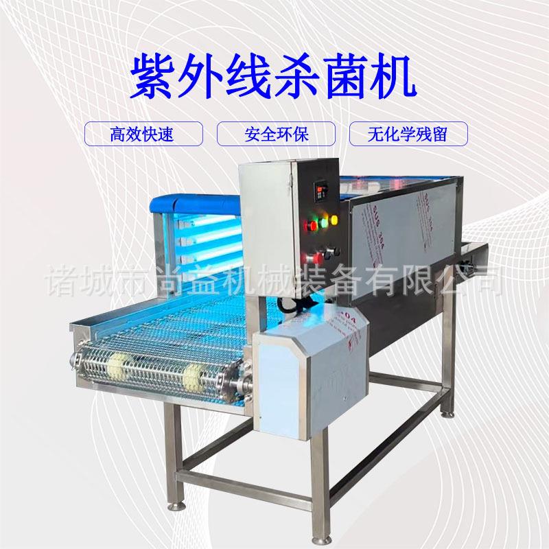 工业紫外线杀菌消毒机工厂验收用紫外线杀菌设备紫外线杀菌机