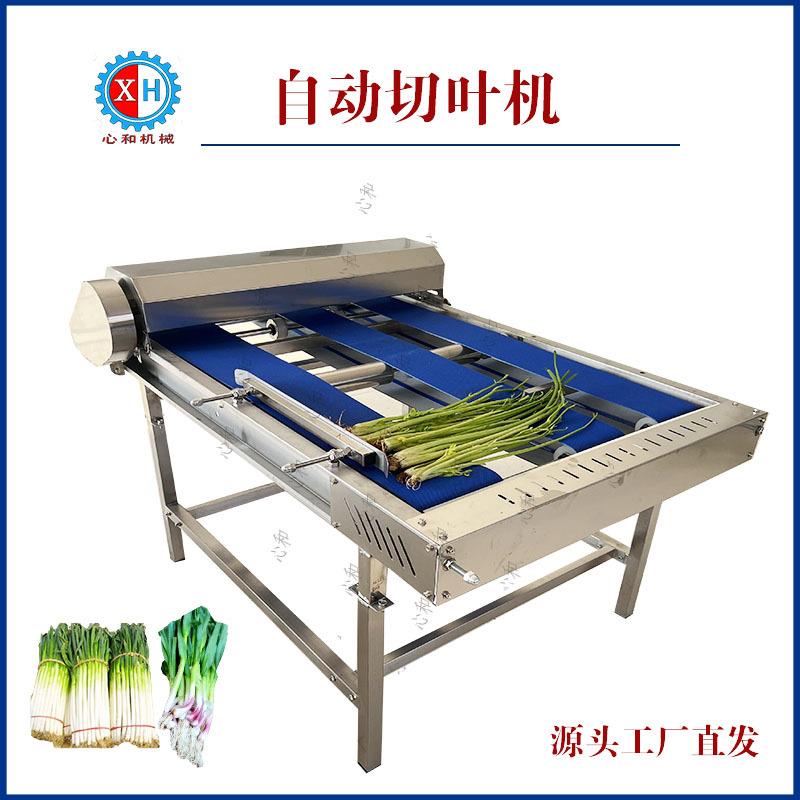 商用大型切根机切头机蔬菜大葱芹菜去根去头不锈钢设备无损伤切根