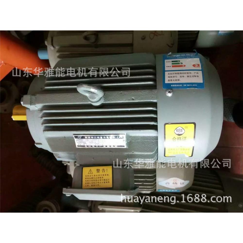 YXL-132M2-6-5.5W电机变频设计1AL电机型号及代表意义使用条件