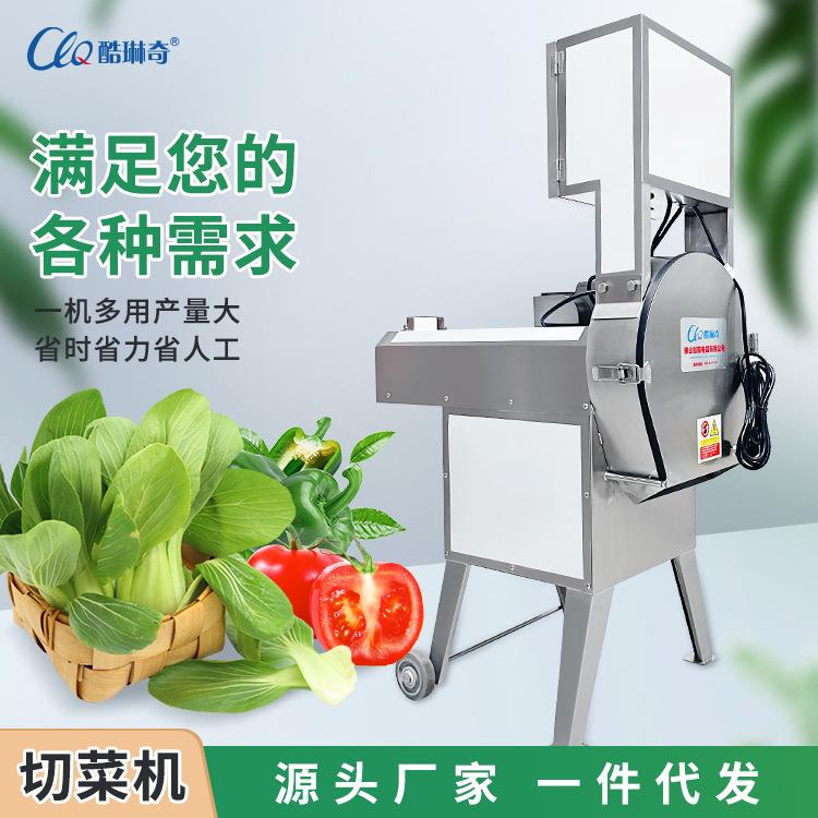 学校食堂多功能切菜机商用果蔬切片切丝机制药工厂药材切片切段机