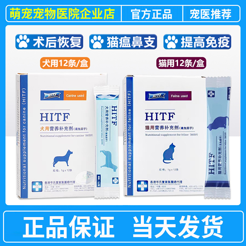 HITF岑氏术后恢复预防猫鼻支猫咪