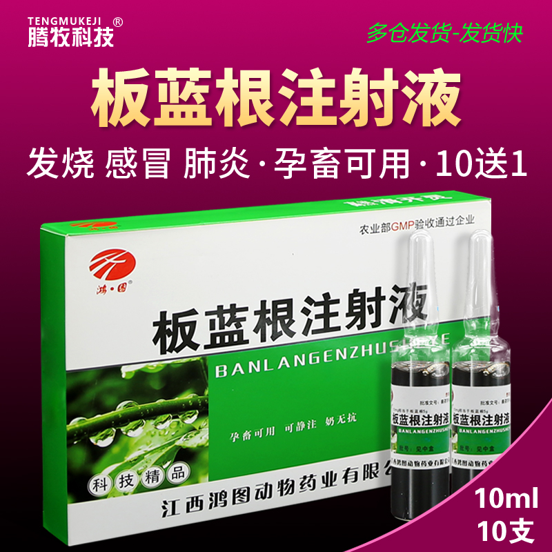 兽药板蓝根注射液兽用宠物猫狗狗