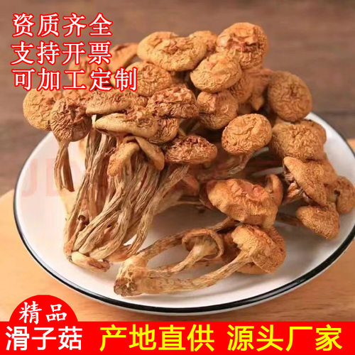 古田特产珍珠菇干500g直销