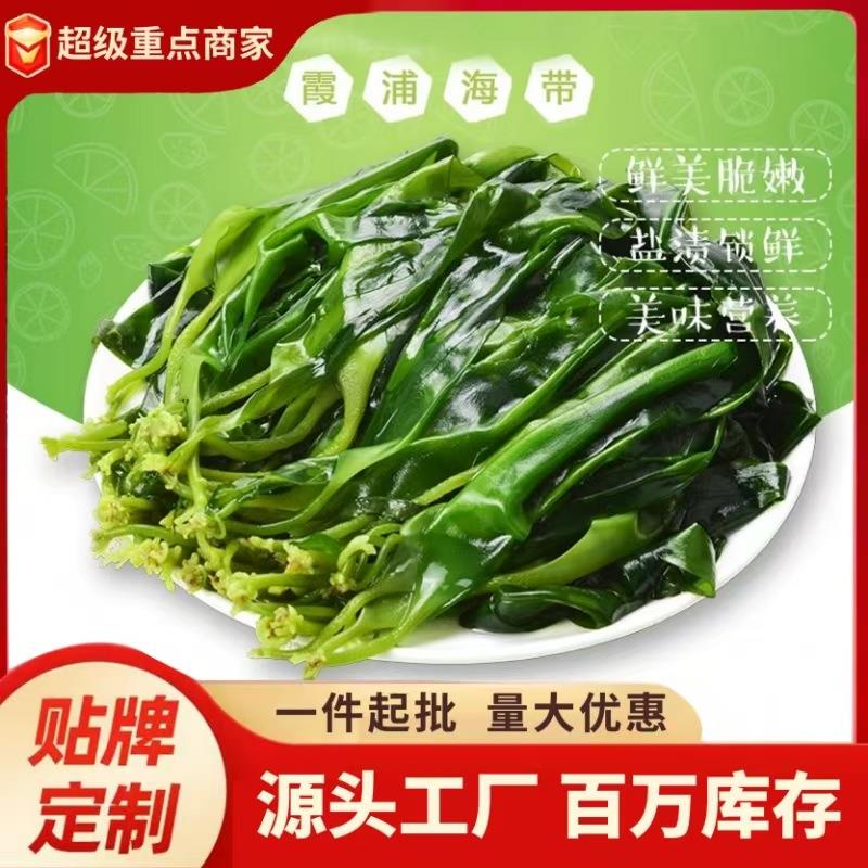 盐渍海带嫩苗商用特惠凉拌