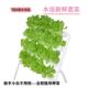 无土栽培蔬菜水培种菜管道室内栽培设备自动浇灌阳台水培蔬菜设备