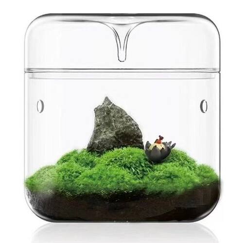 初中生物生态瓶高硼硅玻璃集露瓶生态瓶植物微观桌面盆栽办公玻璃