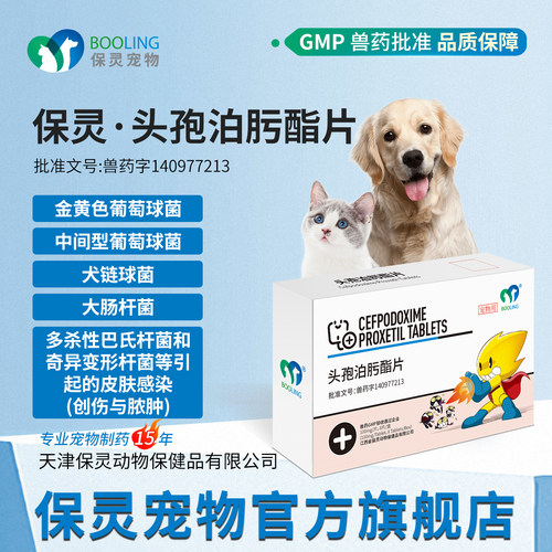 头孢泊肟酯消炎药保灵猫
