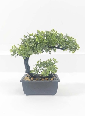 仿真迷你小盆栽PE人造圣诞树仿真绿植办公室家居桌面小摆件批发