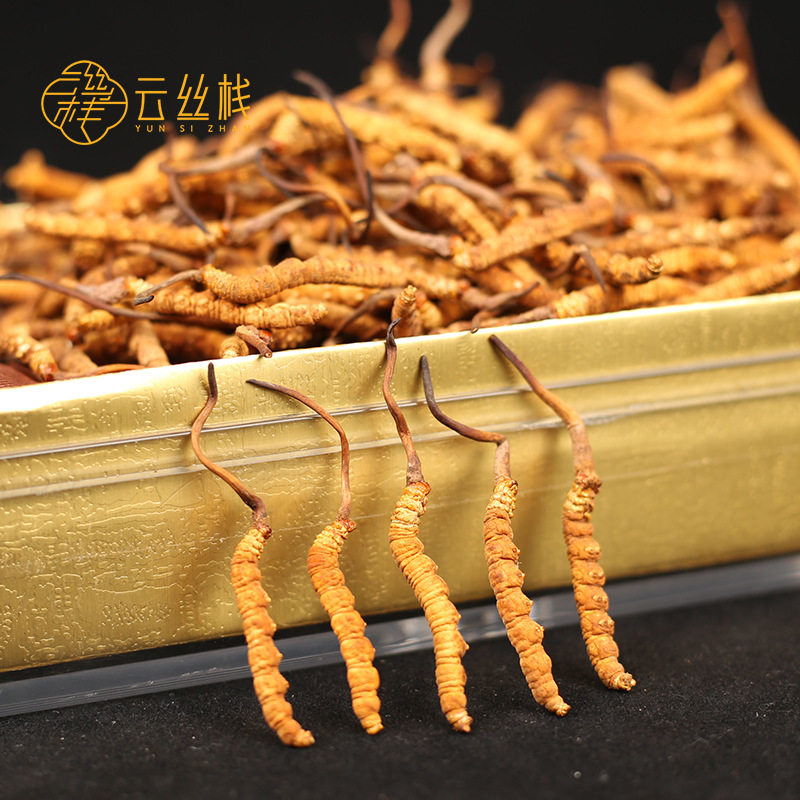 西藏那曲冬虫夏草源头头茬虫草溯源码冬虫夏草干货电商
