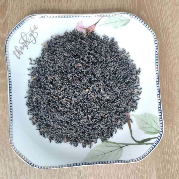 云南文山黑蚂蚁蚁酸充足黑蚂蚁拟黑多刺蚁料干小蚂蚁