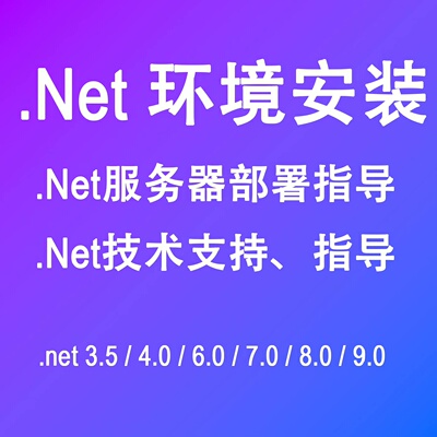 专业提供远程.NET运行环境一键安装服务。