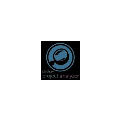 Steelray Project Analyzer 7.20