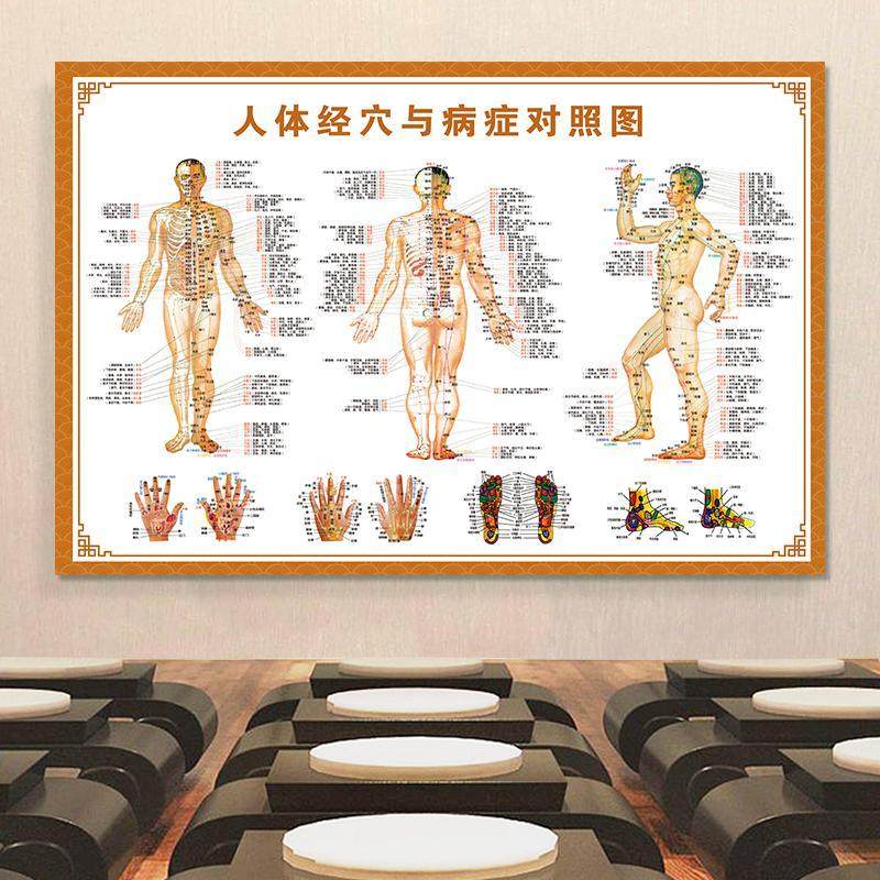 人体经穴病症图墙贴纸海报男性人体经络穴位图女性人体经络穴位图