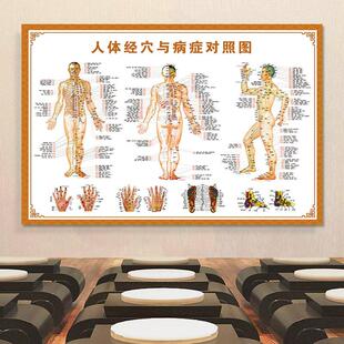人体经穴病症图墙贴纸海报男性人体经络穴位图女性人体经络穴位图