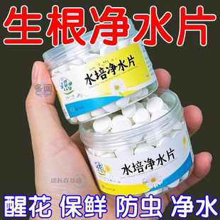 水培植物增氧片净水片营养片防臭水促生根浑水水培花卉通用净水片