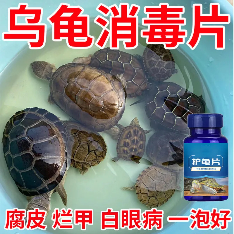 护龟片乌龟消毒片专治腐皮烂甲白眼病厌食净化水质杀菌乌龟通用