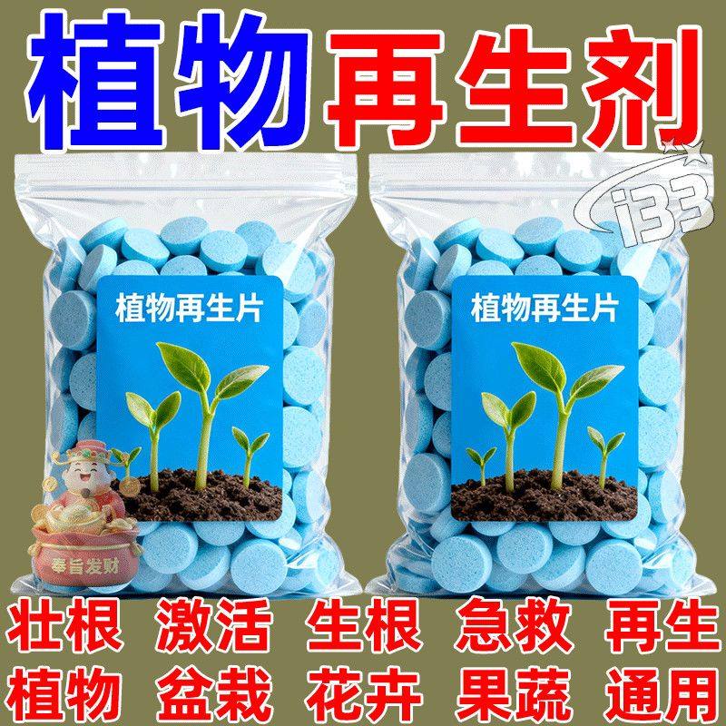 植物绿植再生浓缩片】复活片盆栽家庭园艺浓缩营养片花卉专用营养,鲜花速递/花卉仿真/绿植园艺,家庭园艺肥料,淘宝优惠券,粉丝福利购,淘宝优惠卷