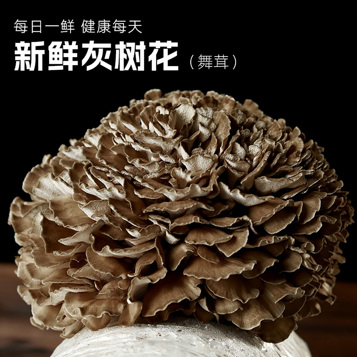 空运包邮新鲜舞茸450g灰树花