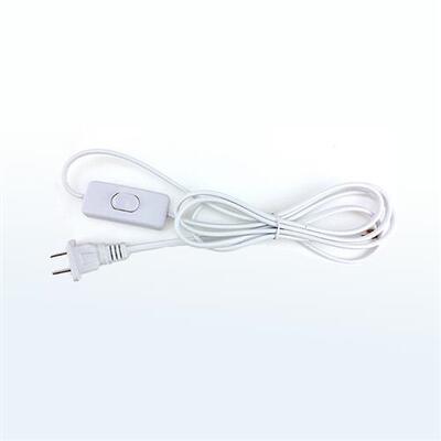 Led电源线两个开关线插头