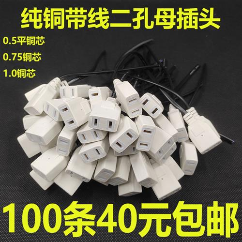 监控带线母插头2孔母插防水盒10A电源插座两脚母插头220V母头一体