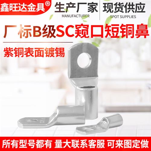 SC窥口短铜鼻子50 70 95 120 150 185 平方镀锡紫铜管接线耳端子