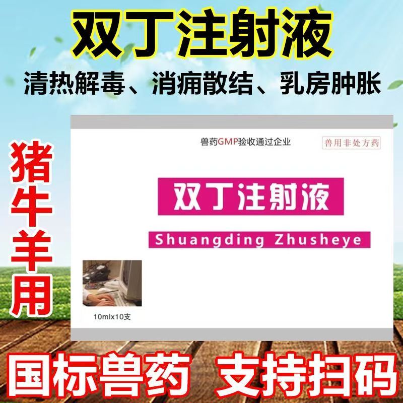 鹏迪双丁注射液兽药兽用母牛猪羊消痈散结乳房肿胀结块清热解毒