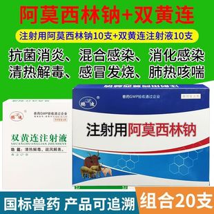 鹏迪阿莫西林钠兽药双黄连注射液兽用猪牛羊猫狗宠物感冒发热咳嗽