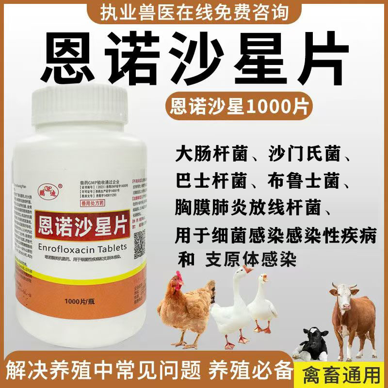 鹏迪兽药恩诺沙星片猫狗鸡鸭鹅药